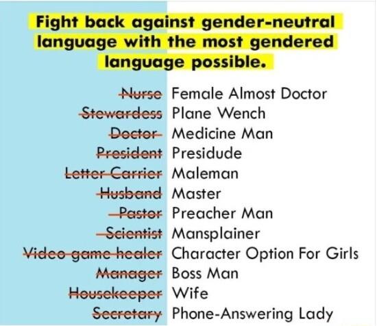 Murse Female Almost Doctor Stewardess Plane Wench Dector Medicine Man President Presidude Letter Carrier Maleman Husbend Master Paster Preacher Man Seientist Mansplainer Videe game healer Character Option For Girls Meneager Boss Man Housekeeper Wife Seeretary Phone Answering Lady