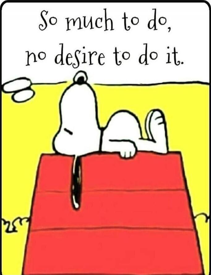 So much to do, no desire to do it.