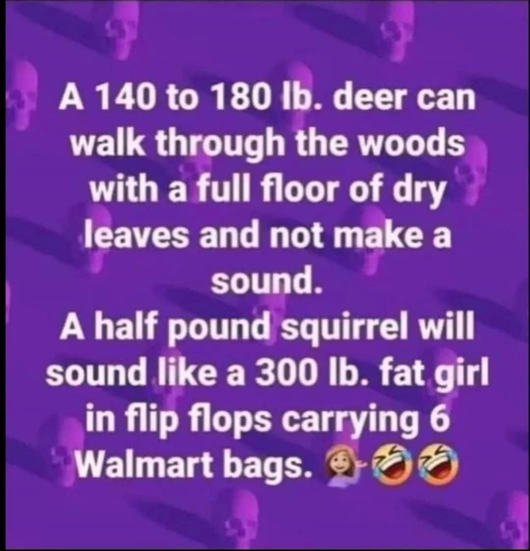 A 140 to 180 lb. deer can walk through the woods with a full floor of dry leaves and not make a sound. A half pound squirrel will sound like a 300 lb. fat girl in flip flops carrying 6 Walmart bags. 😂😂😂
