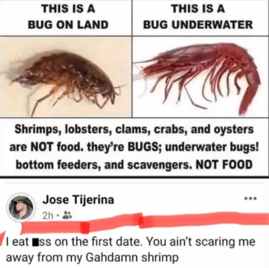 THISISA THISISA BUG ON LAND BUG UNDERWATER 7 Shrimps lobsters clams crabs and oysters are NOT food theyre BUGS underwater bugs bottom feeders and scavengers NOT FOOD Jose Tijerina 2h eat Wss on the first date You aint scaring me away from my Gahdamn shrimp