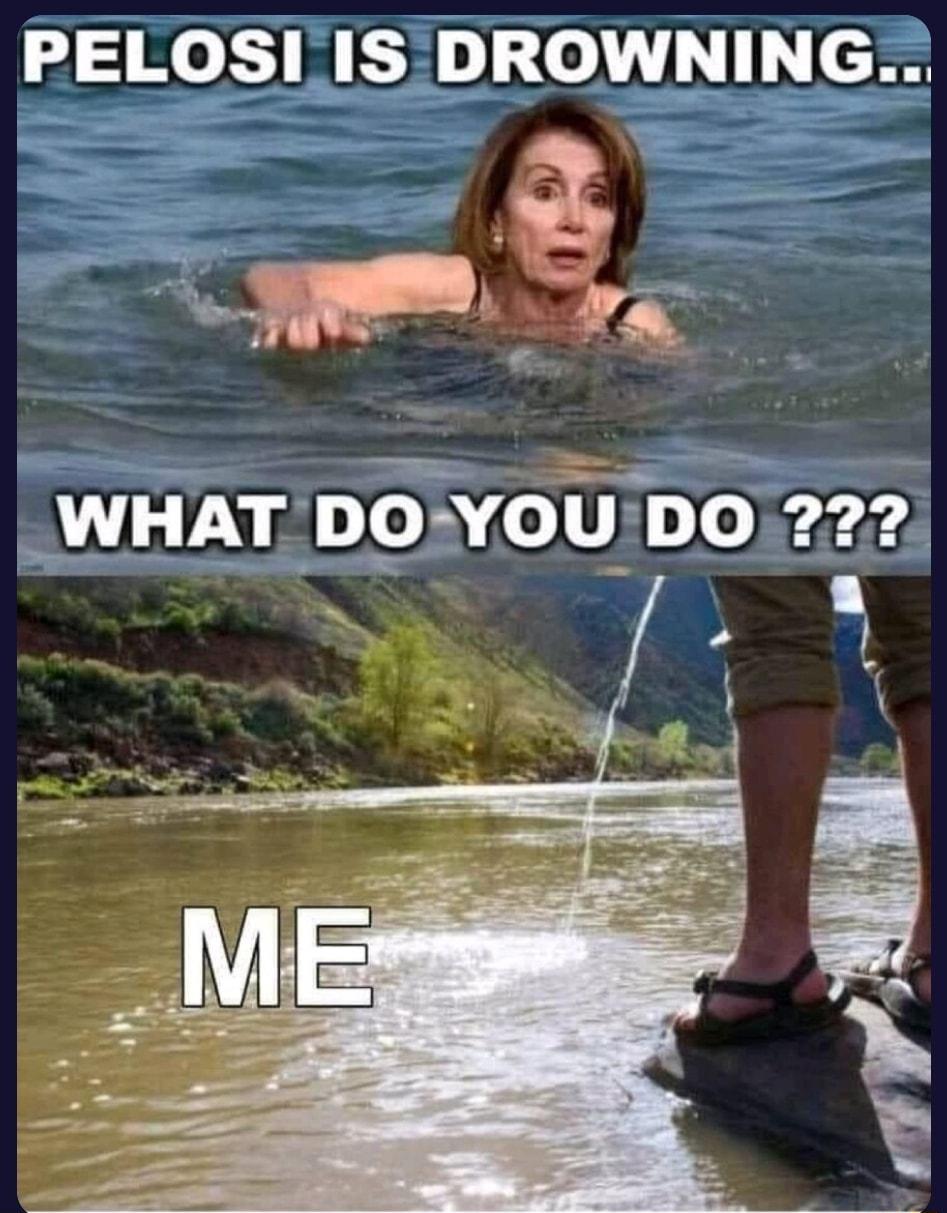 PELOSI IS DROWNING T2 _WHAT DO YOUDO 222