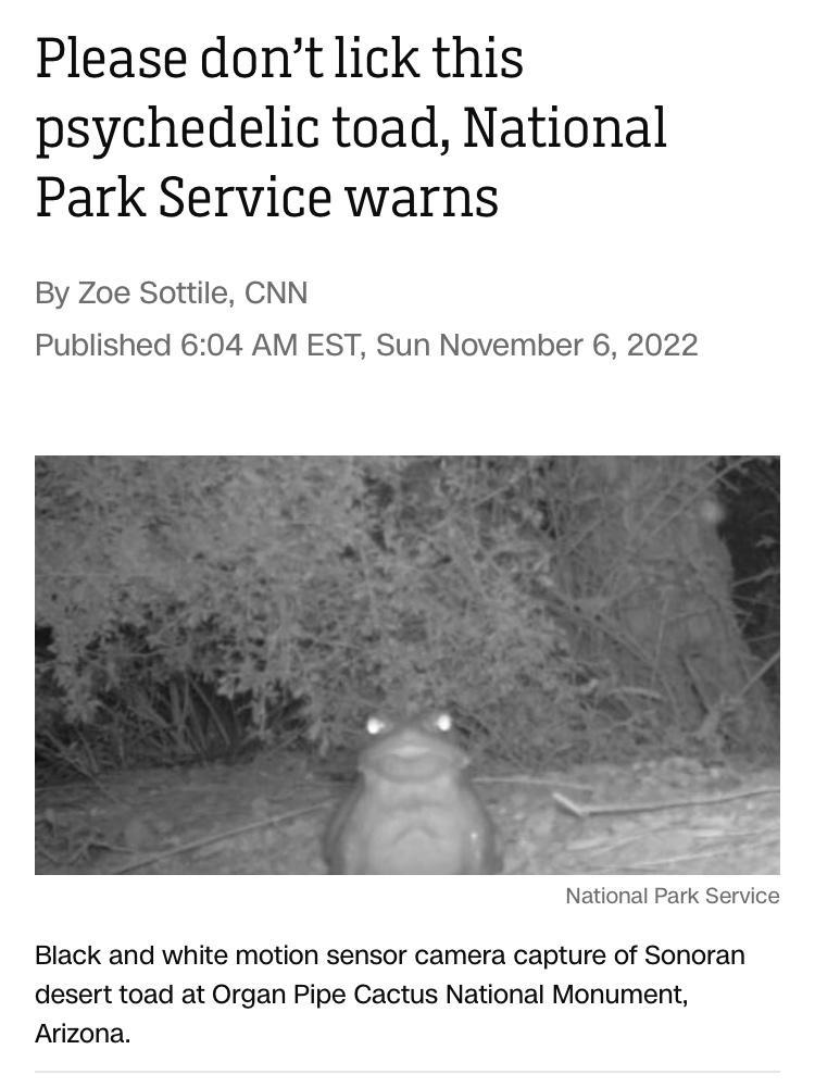 Please dontlick this psychedelic toad National Park Service warns By Zoe Sottile CNN Published 604 AM EST Sun November 6 2022 National Park Service Black and white motion sensor camera capture of Sonoran desert toad at Organ Pipe Cactus National Monument Arizona