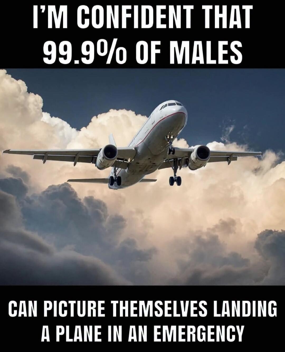 I'M CONFIDENT THAT 99.9% OF MALES CAN PICTURE THEMSELVES LANDING A PLANE IN AN EMERGENCY