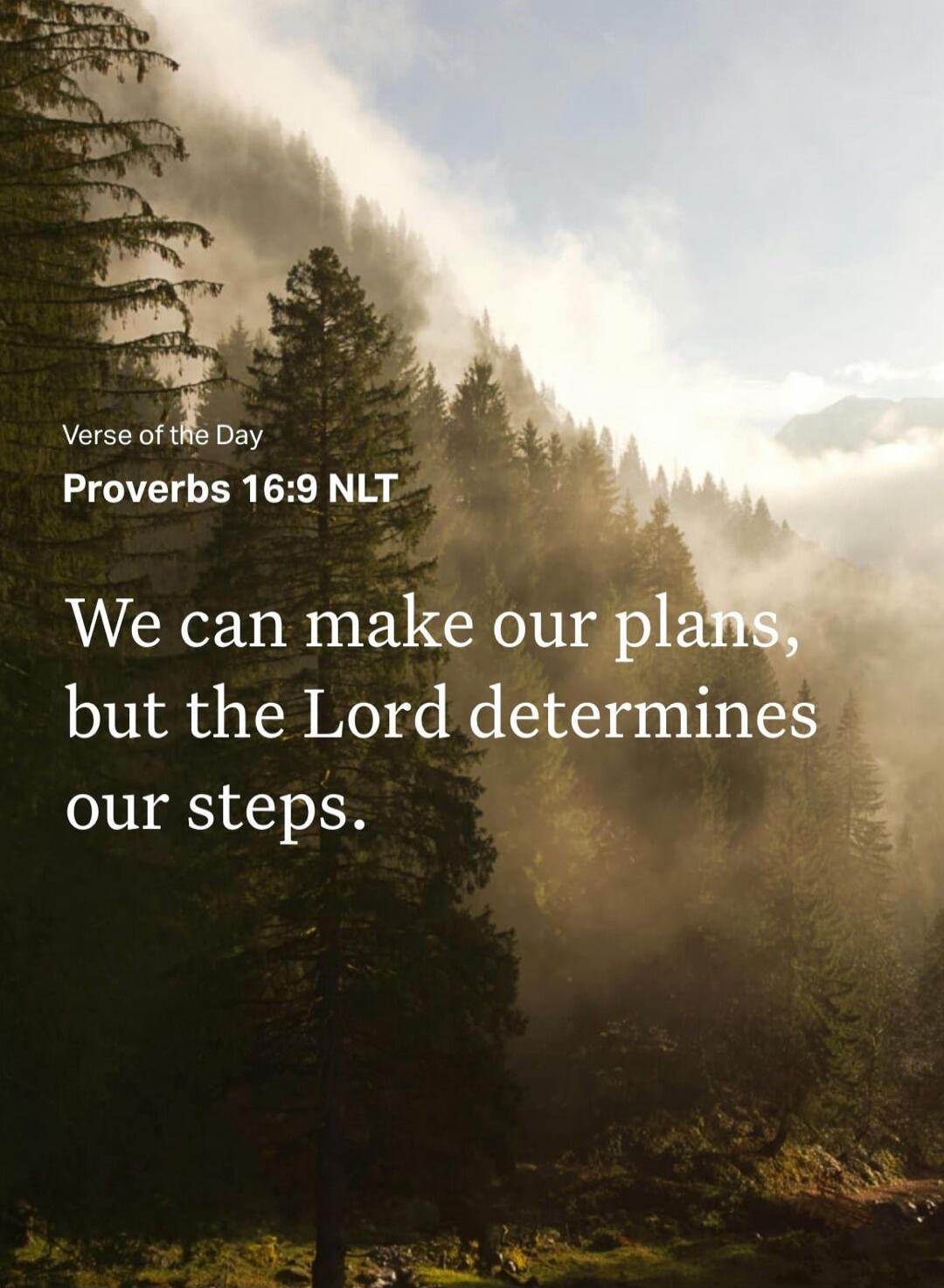 Verse of the Day
Proverbs 16:9 NLT
We can make our plans, but the Lord determines our steps.