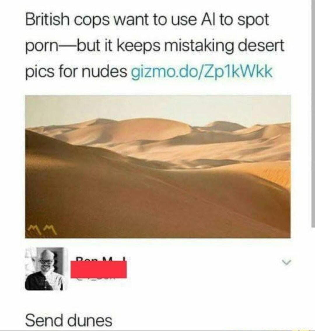 British cops want to use Al to spot pornbut it keeps mistaking desert pics for nudes gizmodoZpTkWkk Send dunes