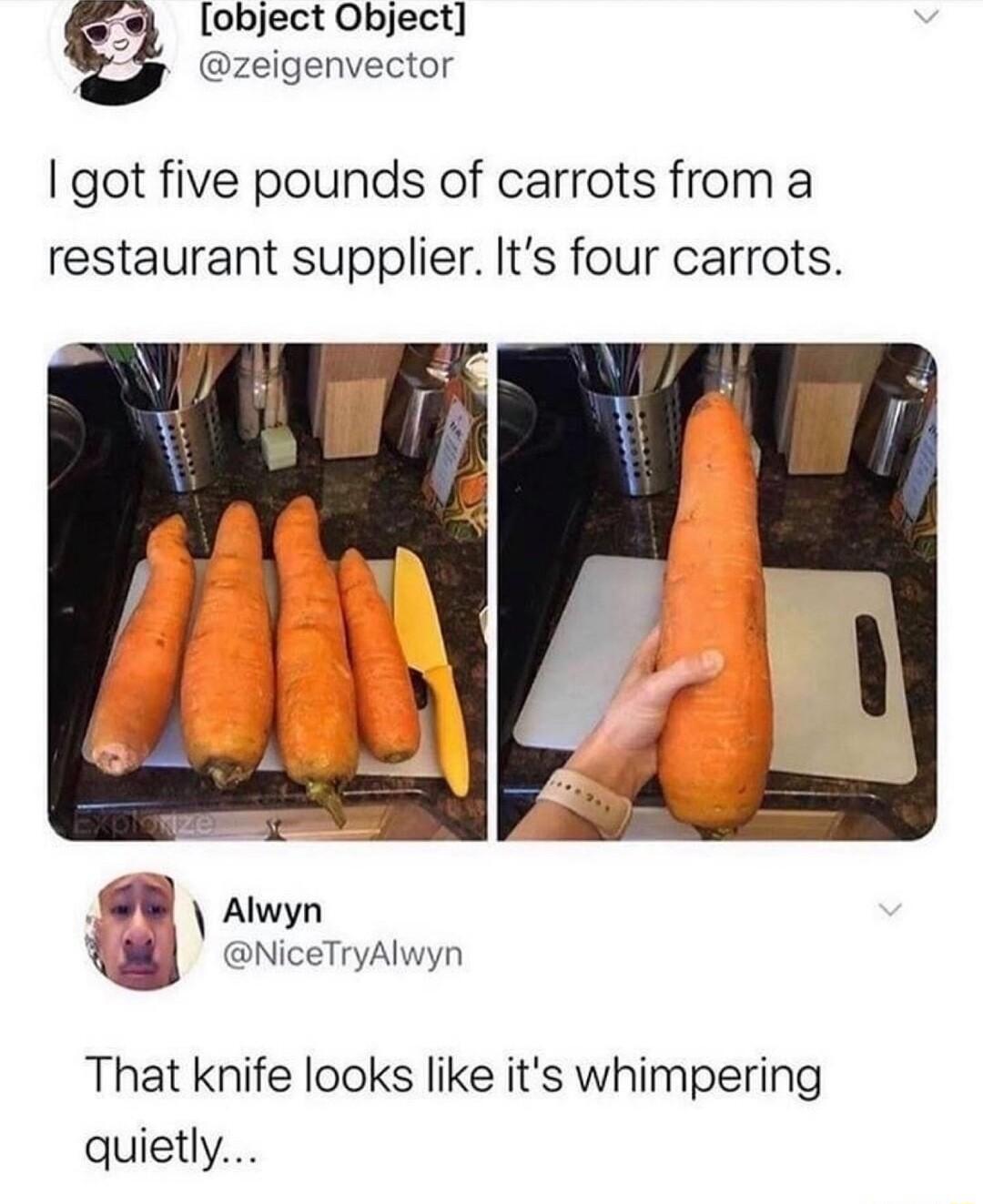 object Object zeigenvector got five pounds of carrots from a restaurant supplier Its four carrots W awyn NiceTryAlwyn That knife looks like its whimpering quietly