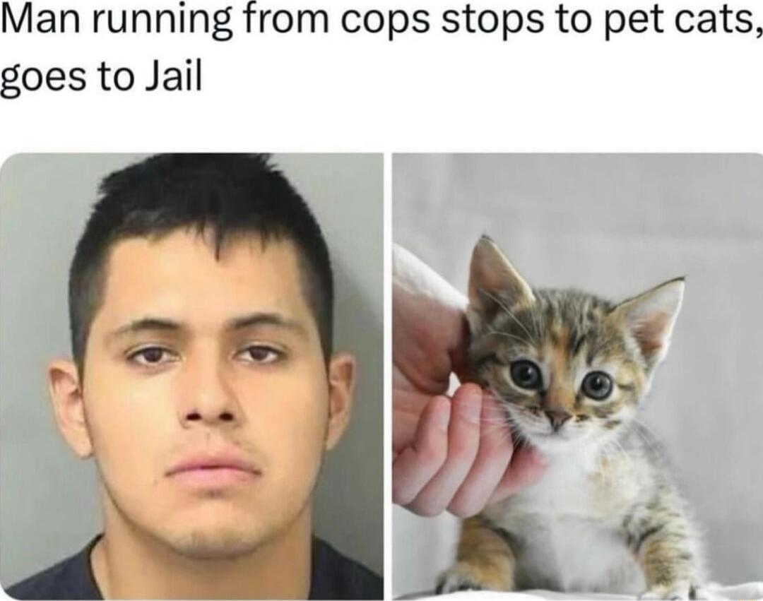 Man running from cops stops to pet cats goes to Jail
