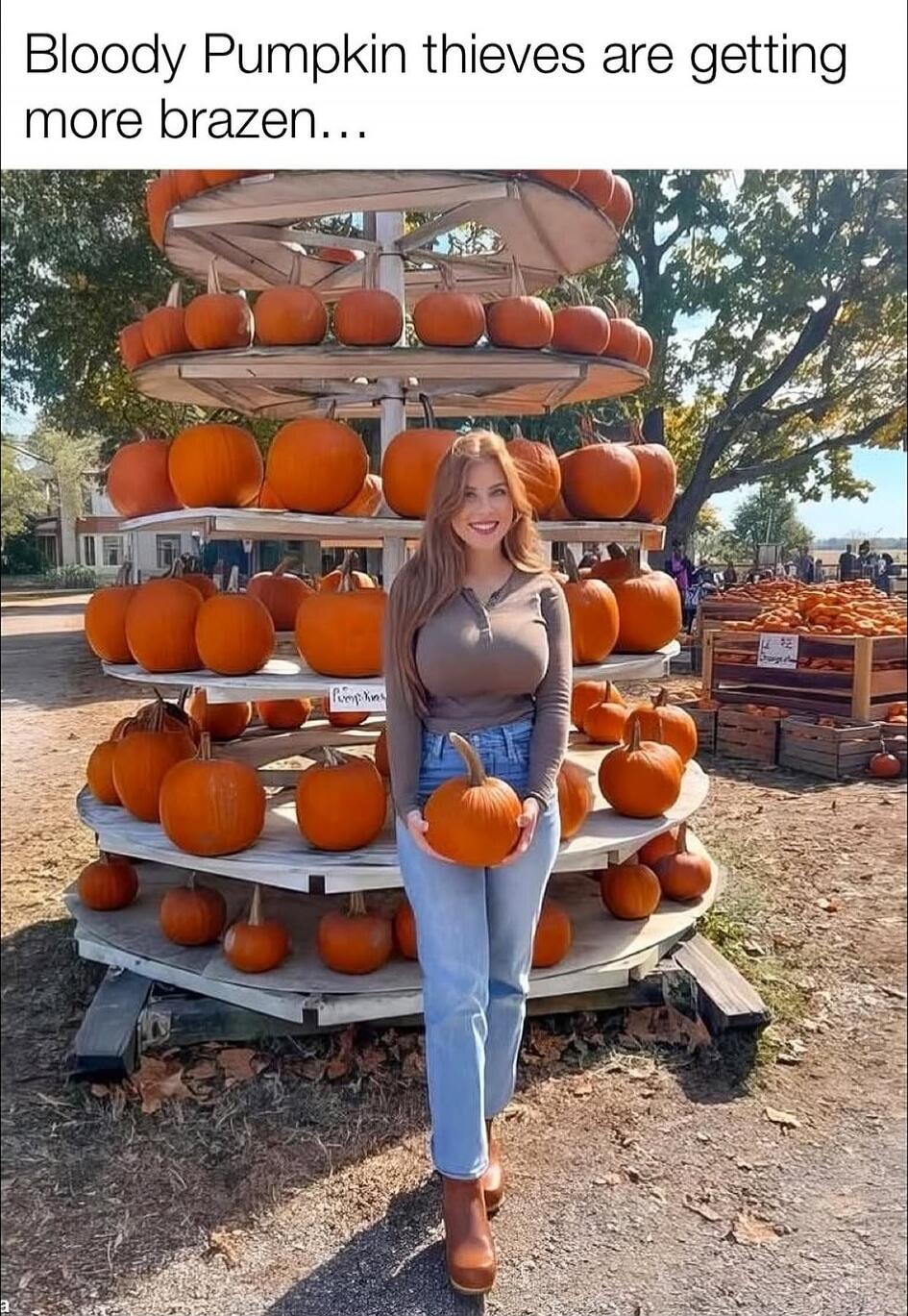 Bloody Pumpkin thieves are getting more brazen...