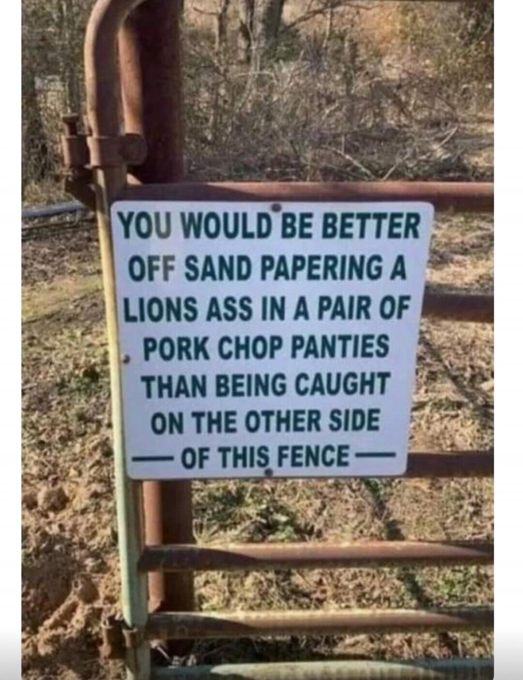 YOU WOULD BE BETTER OFF SAND PAPERING A LIONS ASS IN A PAIR OF PORK CHOP PANTIES THAN BEING CAUGHT ON THE OTHER SIDE OF THIS FENCE