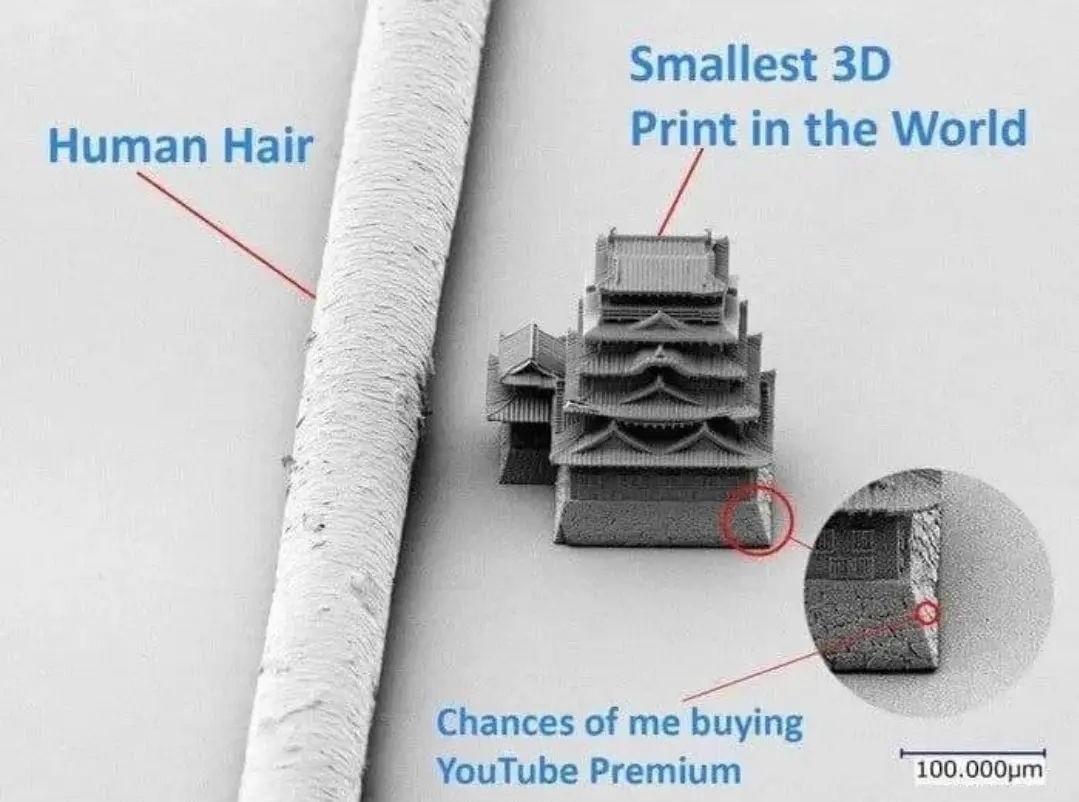 Smallest 3D Human Hair Print in the World Chances of me buying YouTube Premium 100000pm