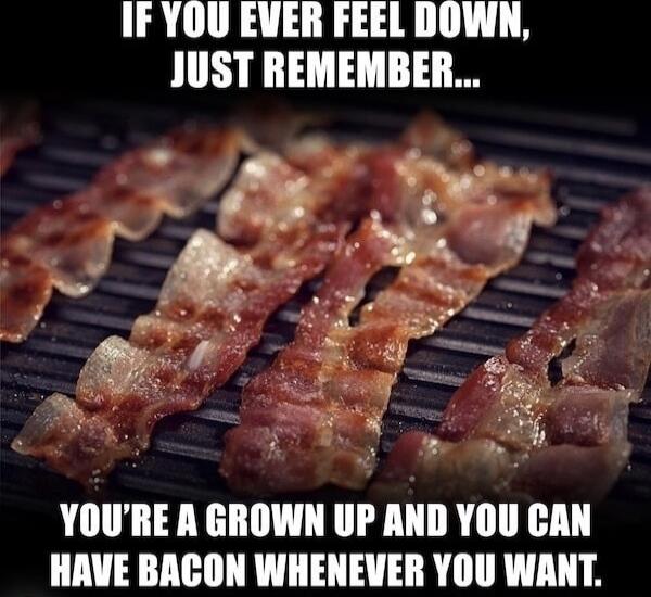 IF YOU EVER FEEL DOWN, JUST REMEMBER... YOU'RE A GROWN UP AND YOU CAN HAVE BACON WHENEVER YOU WANT.