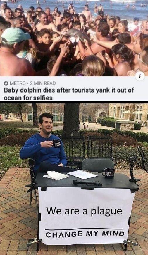 MET MiIN Baby dolphin dies after tourists yank it out of ocean for selfies We are a plague S CHANGE MY MIND