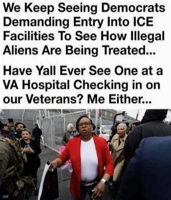 We Keep Seeing Democrats Demanding Entry Into ICE Facilities To See How Illegal Aliens Are Being Treated... Have Yall Ever See One at a VA Hospital Checking in on our Veterans? Me Either...