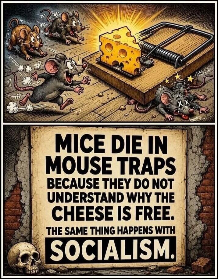Mice die in mouse traps because they do not understand why the cheese is free. The same thing happens with socialism. The image shows several cartoon mice eagerly approaching a mousetrap baited with a glowing piece of cheese. One mouse is already caught in the trap, lying dead with X's for eyes. A skull is visible in the bottom left corner next to 