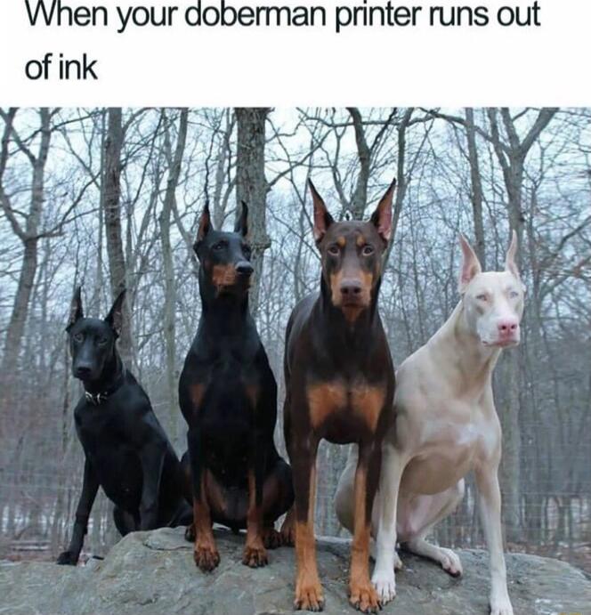 VVhen your doberman printer runs out