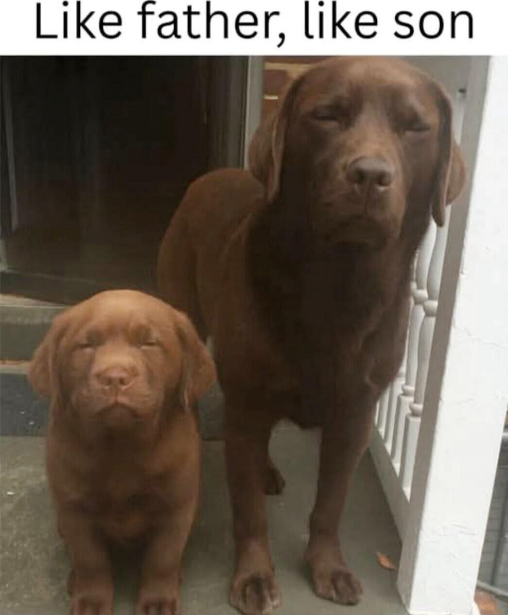 Like father, like son