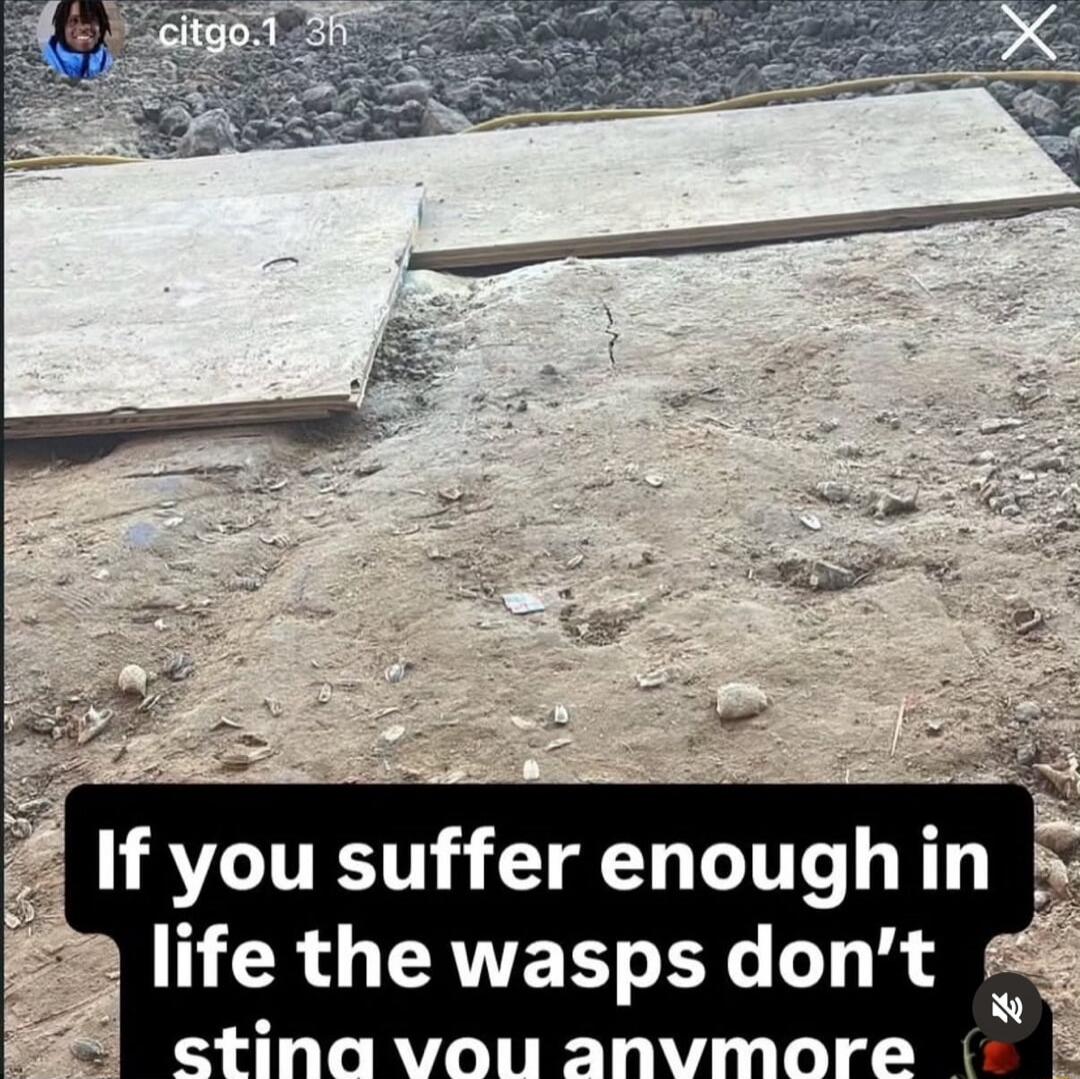 If you suffer enough in life the wasps don't sting you anymore