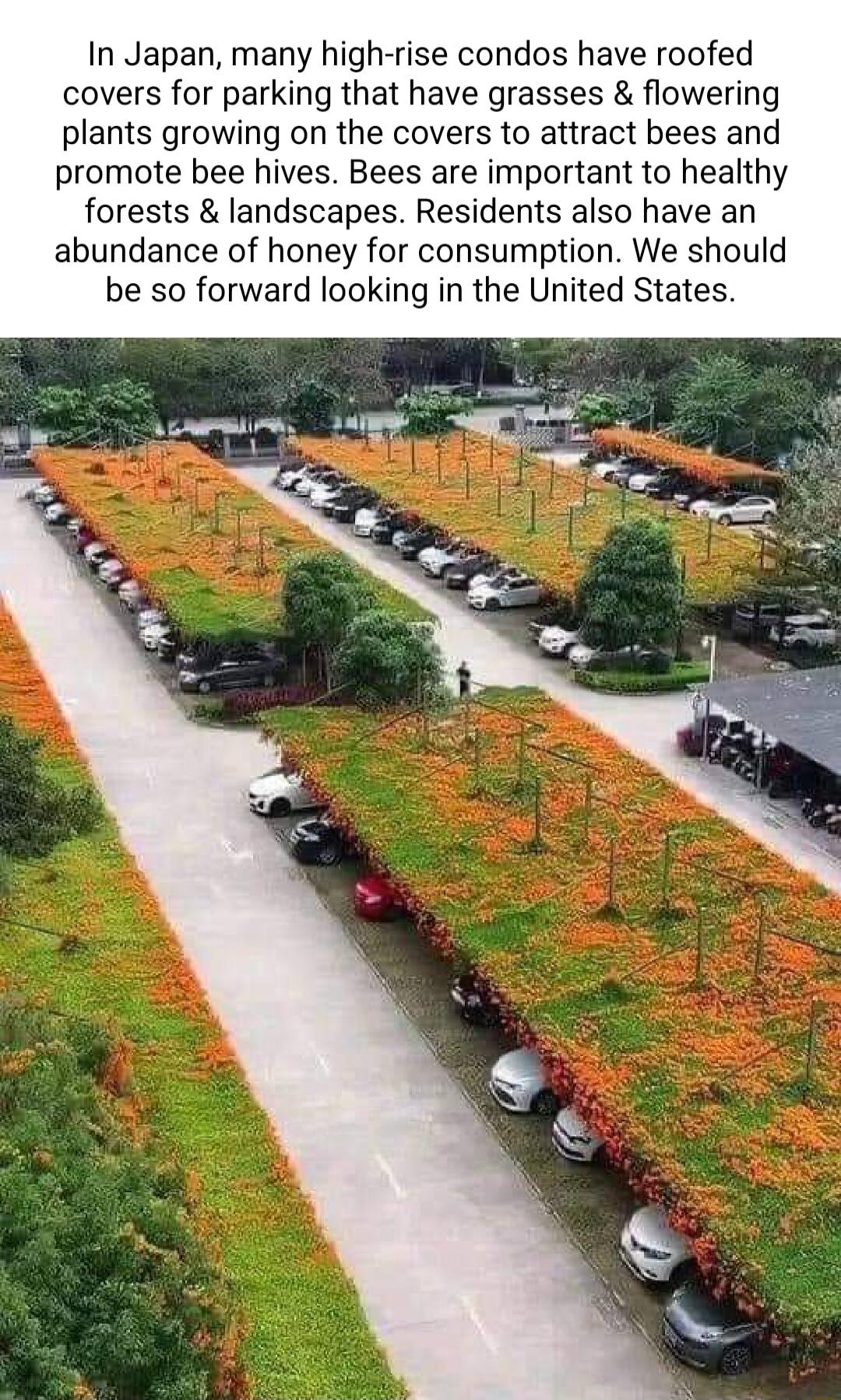 In Japan many high rise condos have roofed covers for parking that have grasses flowering plants growing on the covers to attract bees and promote bee hives Bees are important to healthy forests landscapes Residents also have an abundance of honey for consumption We should be so forward looking in the United States