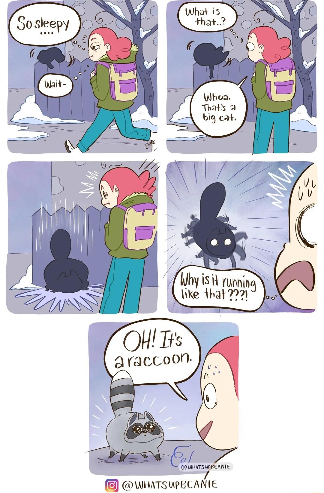 OHTts araccoon 7 WHATSUPBEANIE