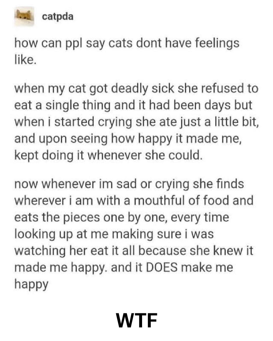 catpda how can ppl say cats dont have feelings like. when my cat got deadly sick she refused to eat a single thing and it had been days but when i started crying she ate just a little bit, and upon seeing how happy it made me, kept doing it whenever she could. now whenever im sad or crying she finds wherever i am with a mouthful of food and eats th
