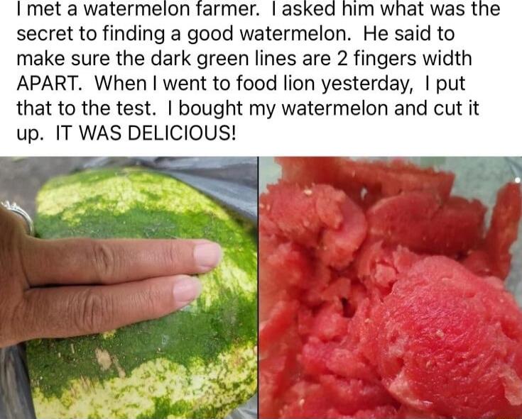 I met a watermelon secret to finding a good watermelon He said to make sure the dark green lines are 2 fingers width APART When went to food lion yesterday put that to the test bought my watermelon and cut it up IT WAS DELICIOUS