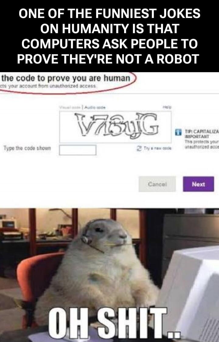 ONE OF THE FUNNIEST JOKES ON HUMANITY IS THAT COMPUTERS ASK PEOPLE TO PROVE THEY'RE NOT A ROBOT\nthe code to prove you are human\nOH SHIT..
