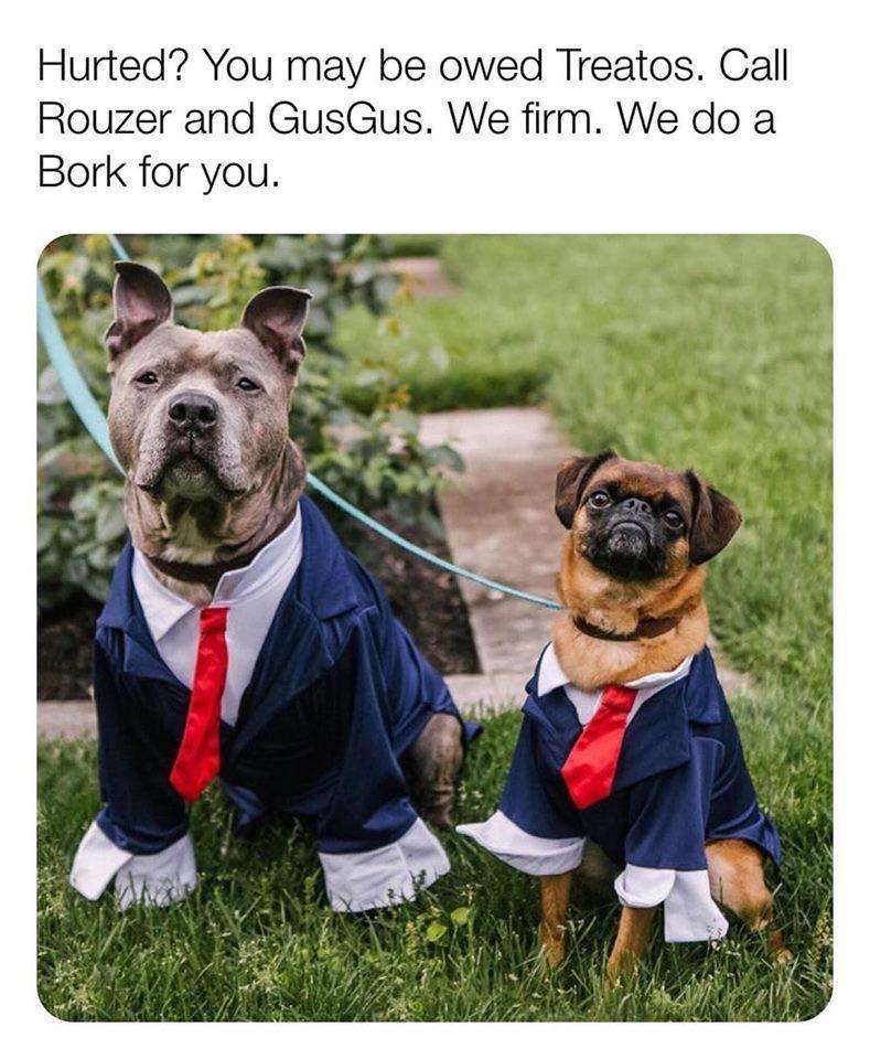 Hurted You may be owed Treatos Call Rouzer and GusGus We firm We do a Bork for you