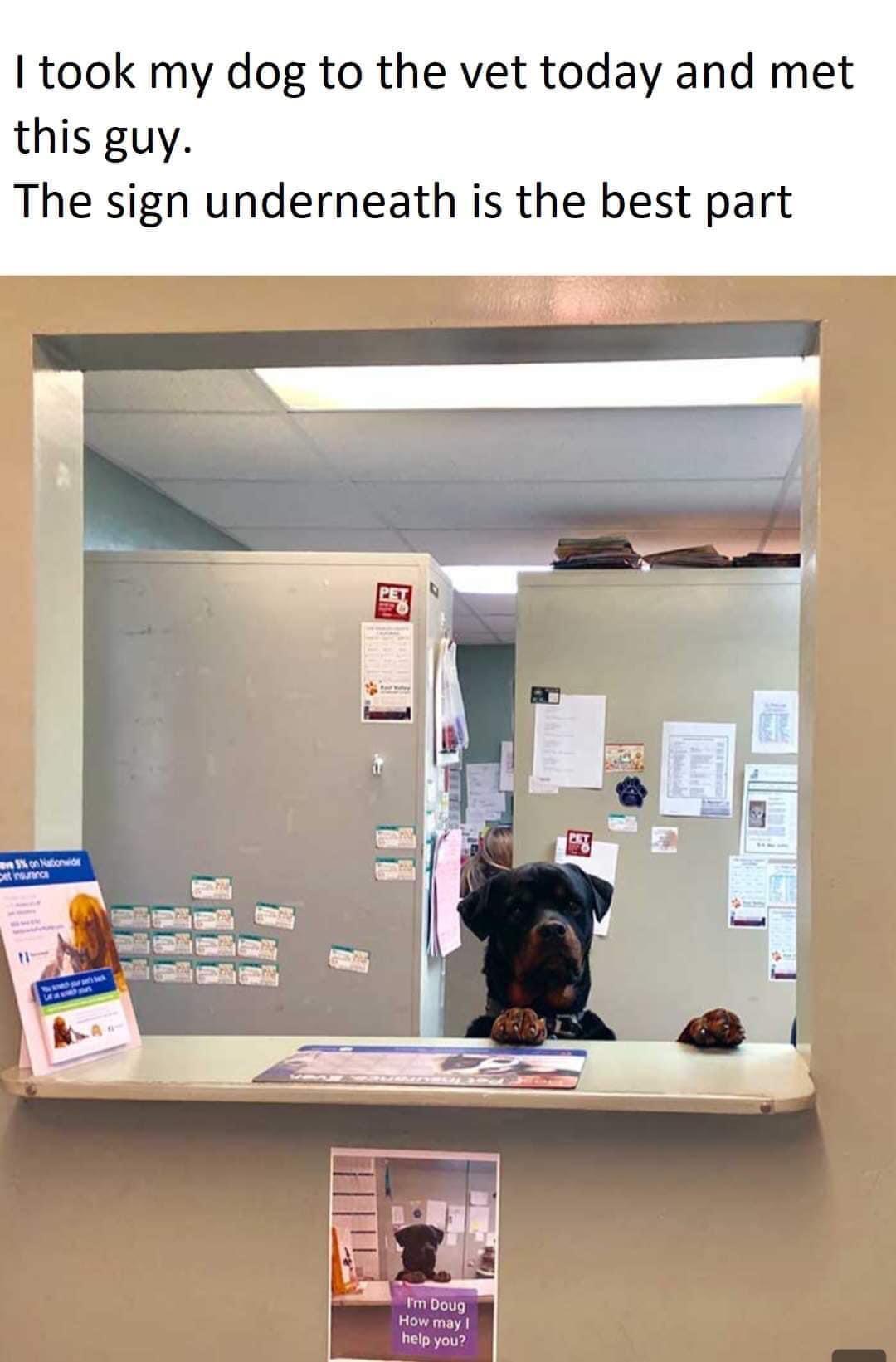 took my dog to the vet today and met this guy The sign underneath is the best part