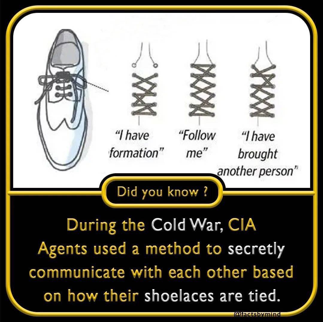 l have Follow I have formation me brought another person Did you know During the Cold War CIA AV ORI W ToTe IR o IR YTl 14 communicate with each other based on how their shoelaces are tied iactsbymind
