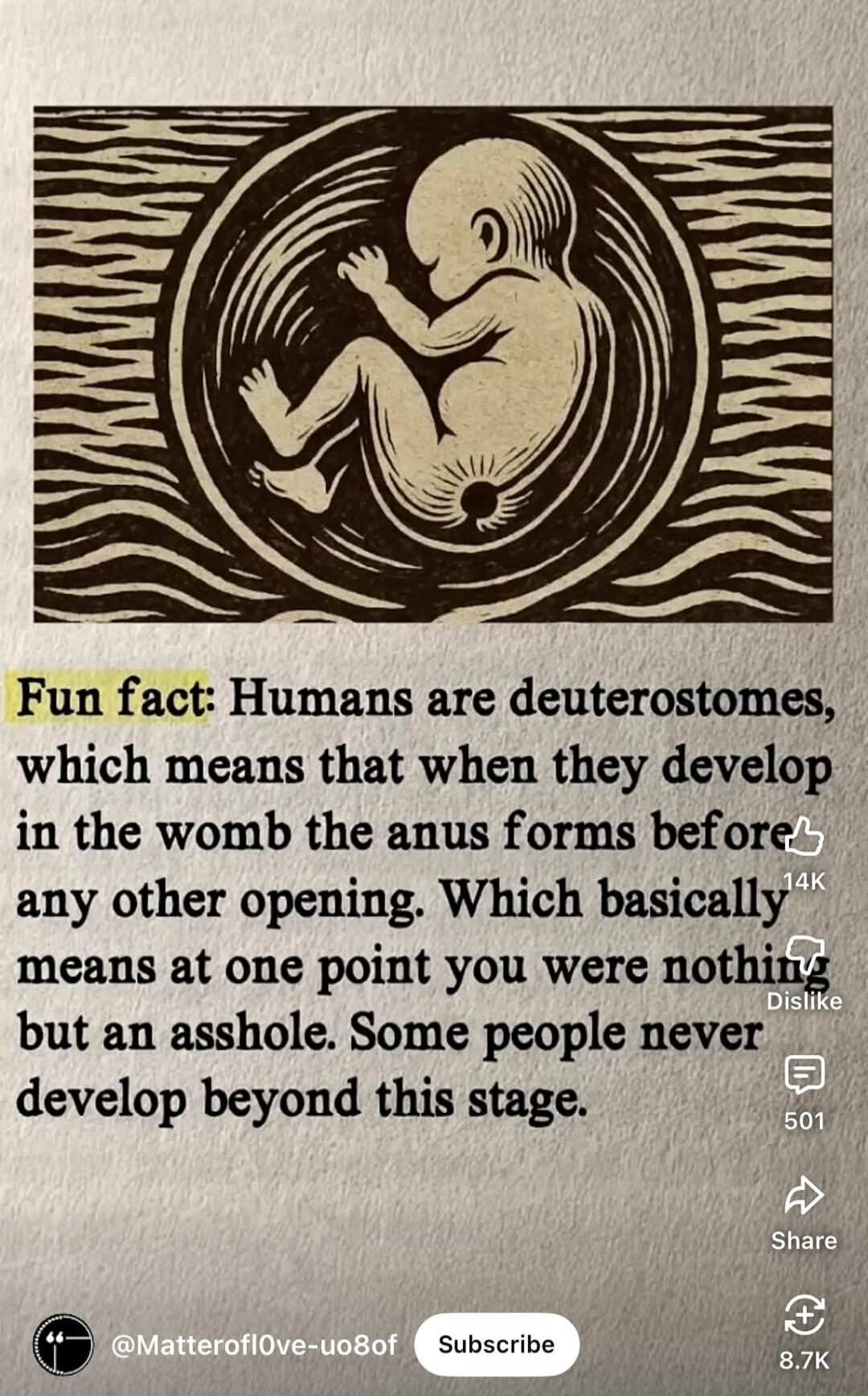 Fun fact: Humans are deuterostomes, which means that when they develop in the womb the anus forms before any other opening. Which basically means at one point you were nothing but an asshole. Some people never develop beyond this stage.