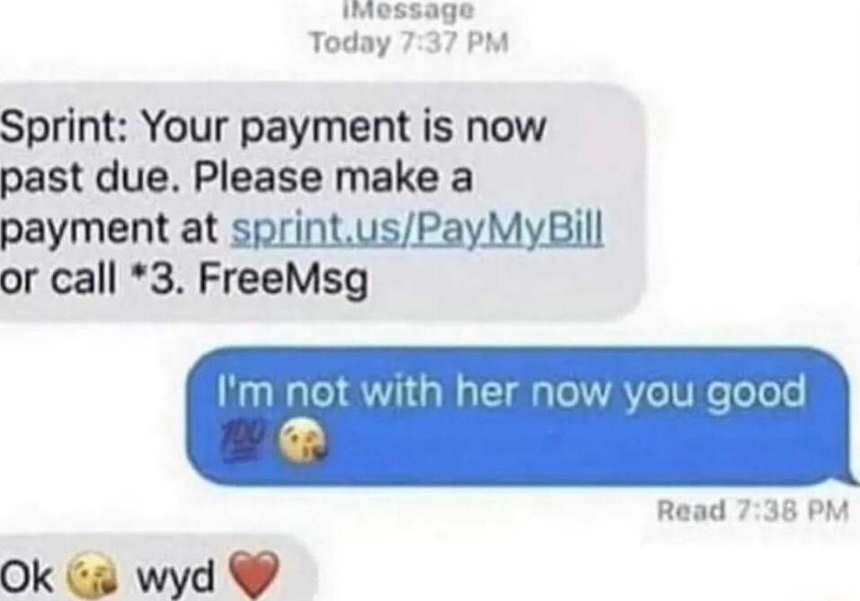 Sprint Your payment is now past due Please make a payment at sprintusPayMyBill or call 3 FreeMsg