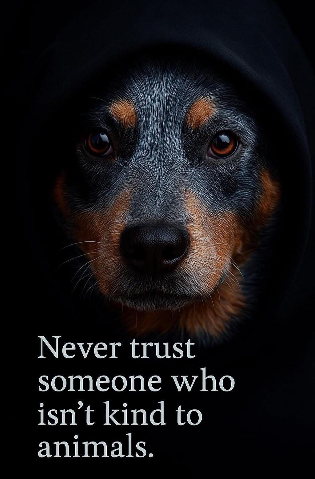 Never trust someone who isn’t kind to animals.