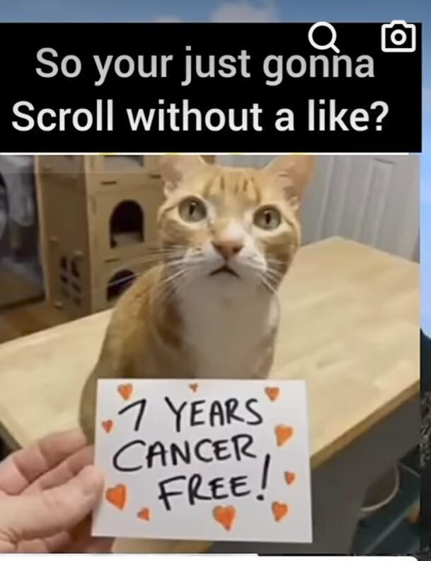 Q So your just gonha Scroll without a like