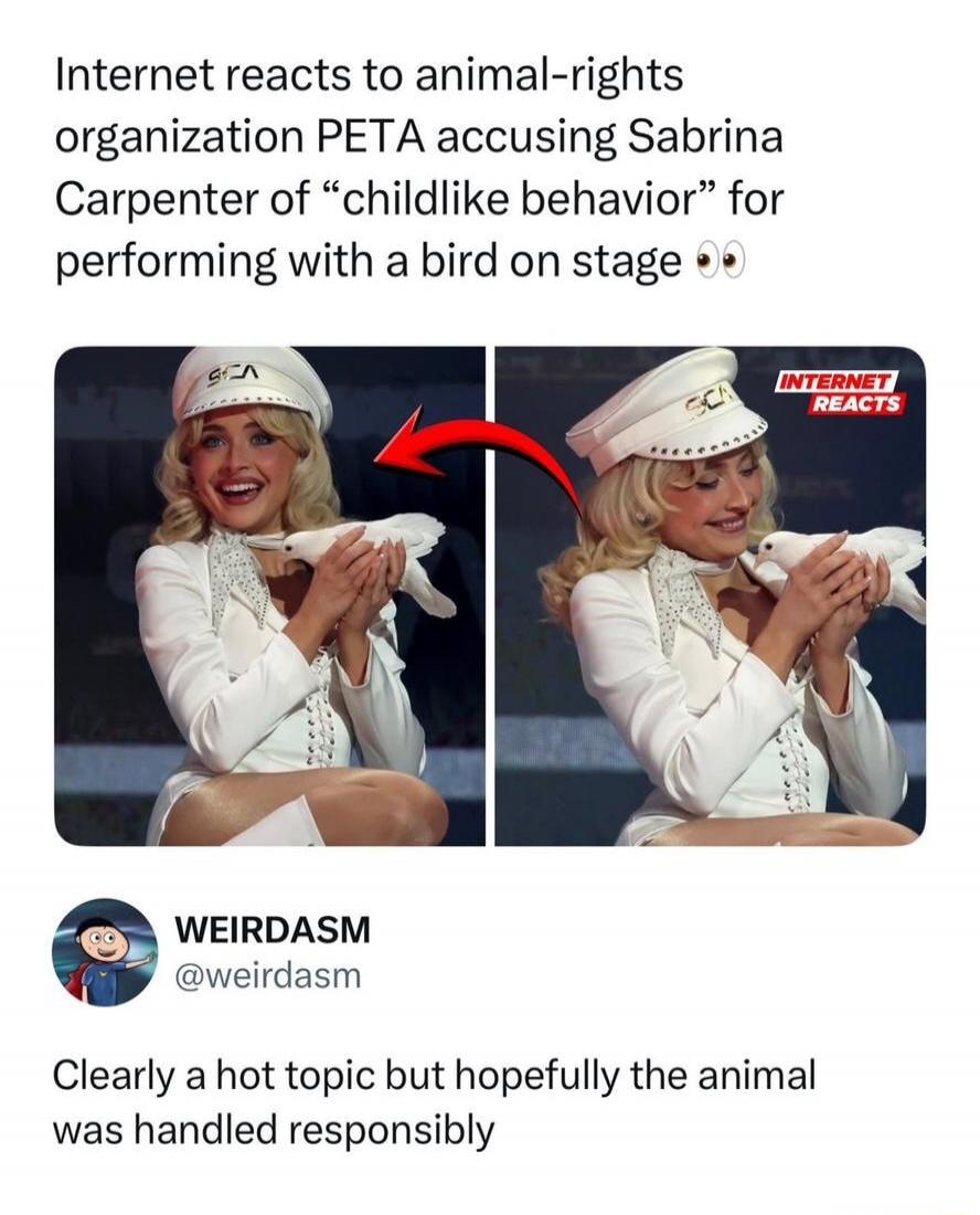 Internet reacts to animal-rights organization PETA accusing Sabrina Carpenter of “childlike behavior” for performing with a bird on stage 👀

WEIRDASM @weirdasm
Clearly a hot topic but hopefully the animal was handled responsibly