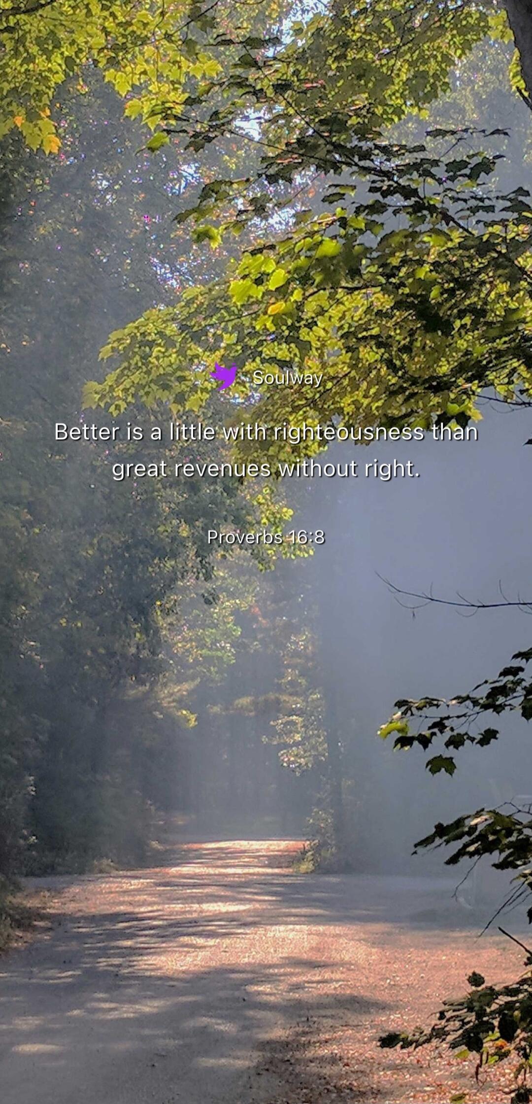 Soulway Better is a little with righteousness than great revenues without right. Proverbs 16:8