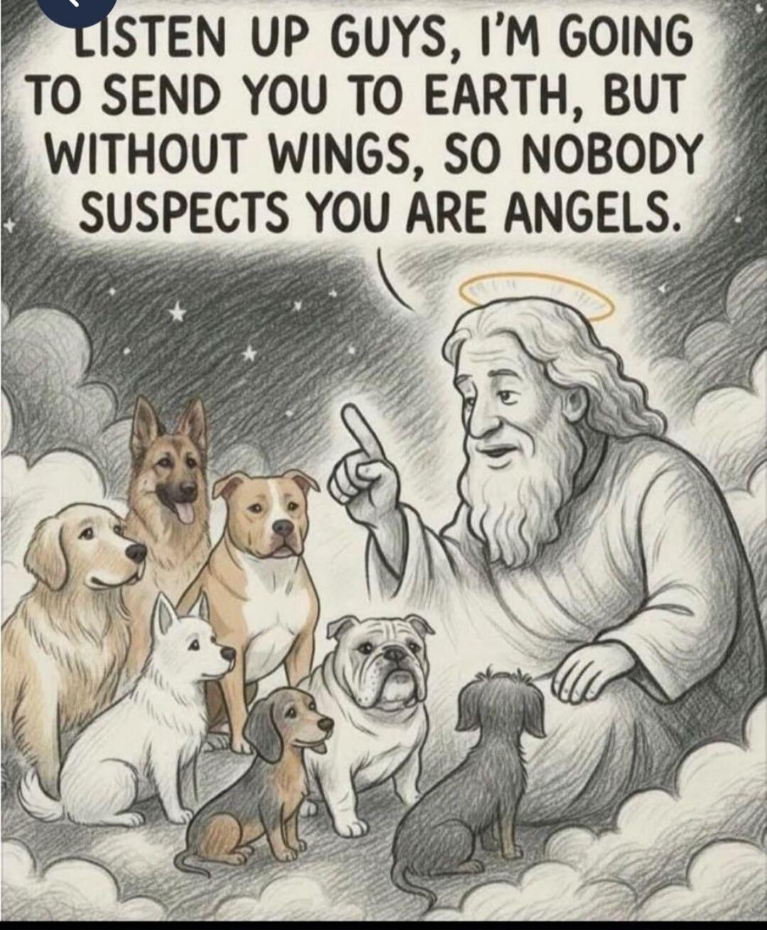 LISTEN UP GUYS, I'M GOING TO SEND YOU TO EARTH, BUT WITHOUT WINGS, SO NOBODY SUSPECTS YOU ARE ANGELS.