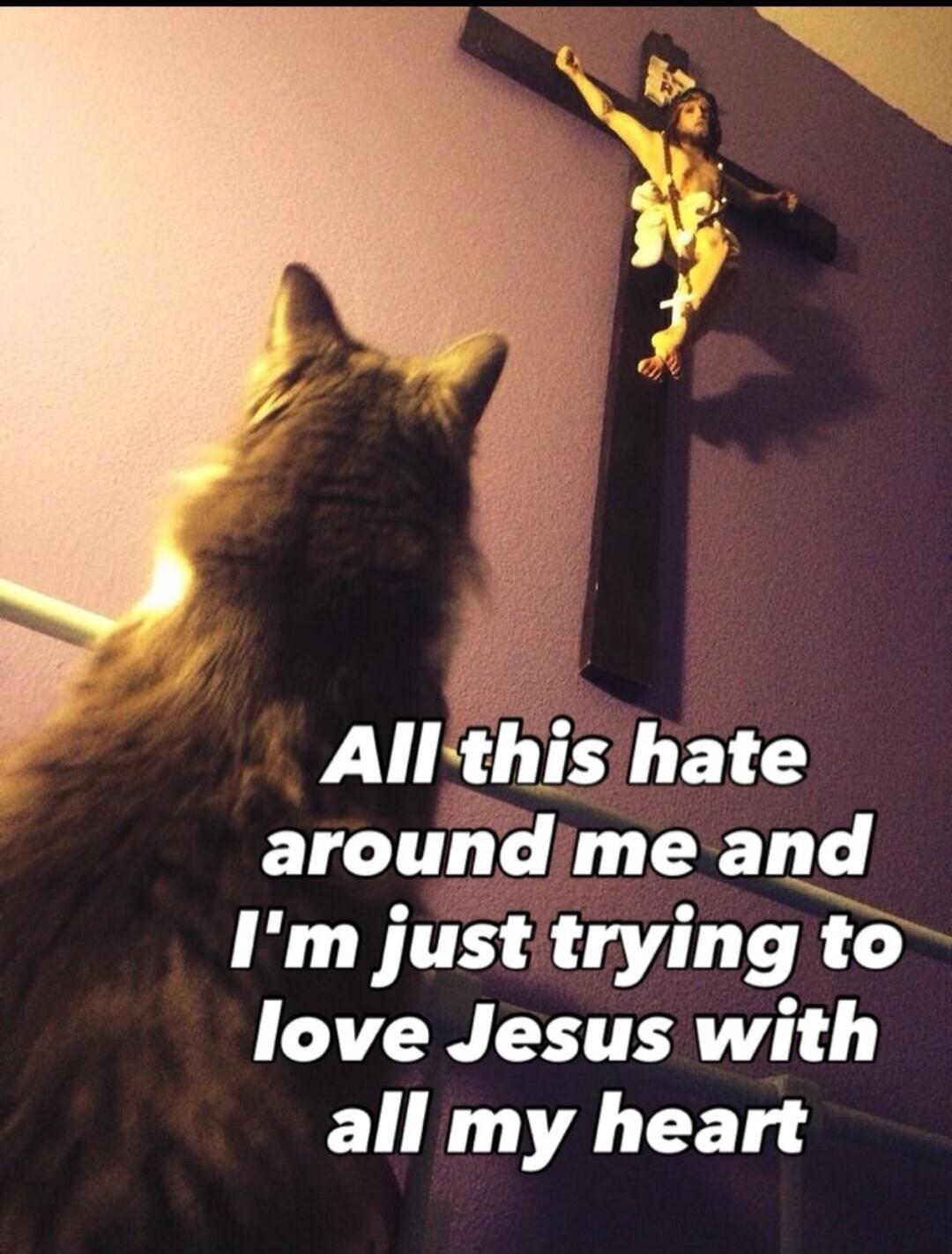 All this hate around me and I'm just trying to love Jesus with all my heart