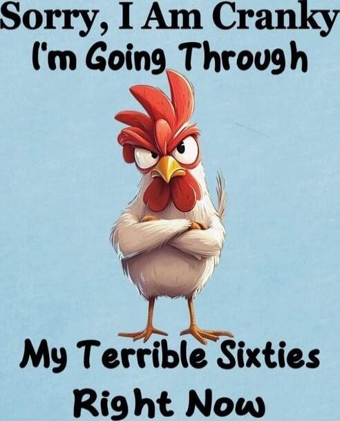 Sorry, I Am Cranky I'm Going Through My Terrible Sixties Right Now