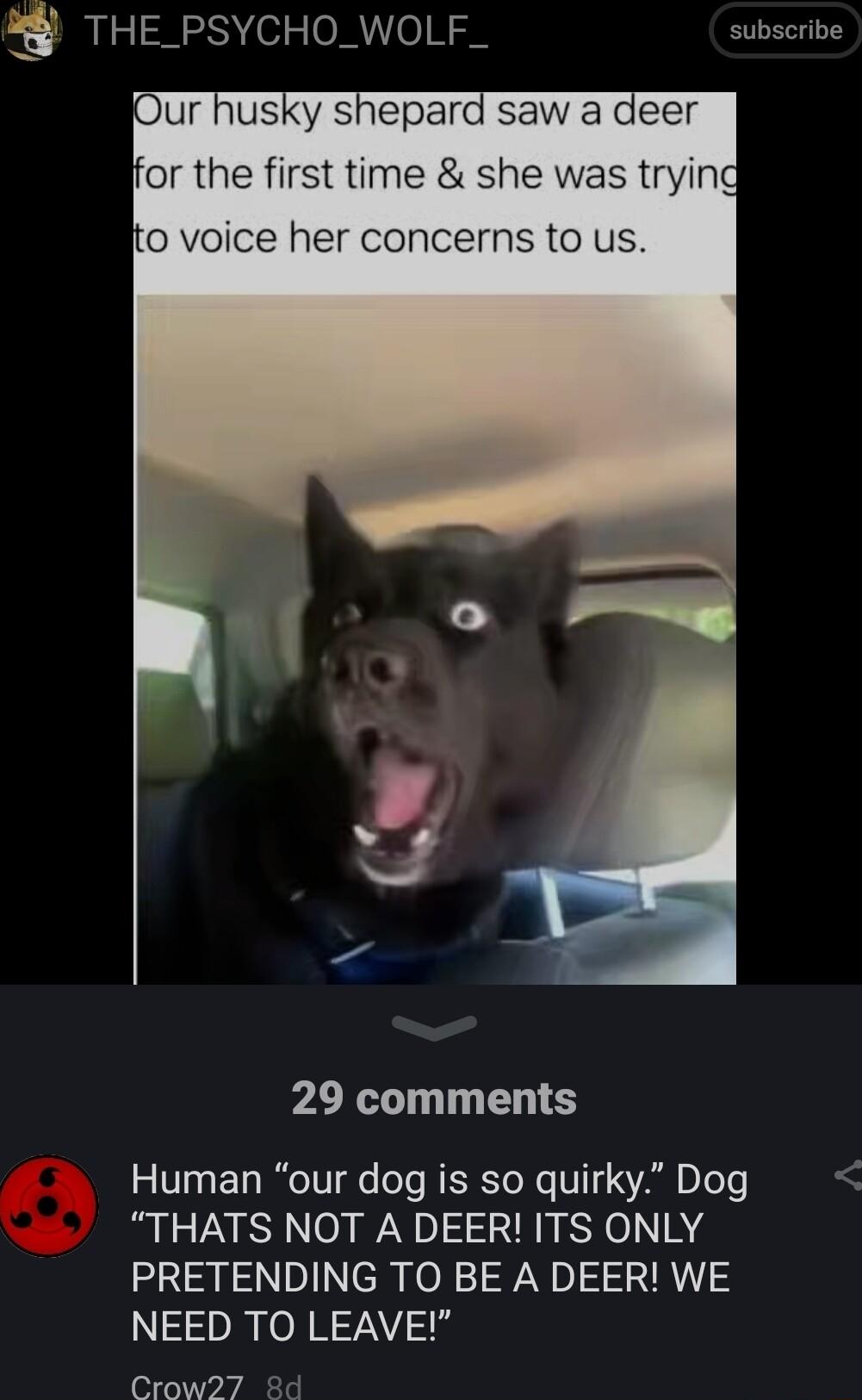 4 THE_PSYCHO_WOLF_ subscribe or the first time she was t 0 voice her concerns to us 29 comments V130T BTV oTe RERCTO R o V 1 S VAR e Te THATS NOT A DEER ITS ONLY PRETENDING TO BE A DEER WE NEED TO LEAVE Crow27 8d