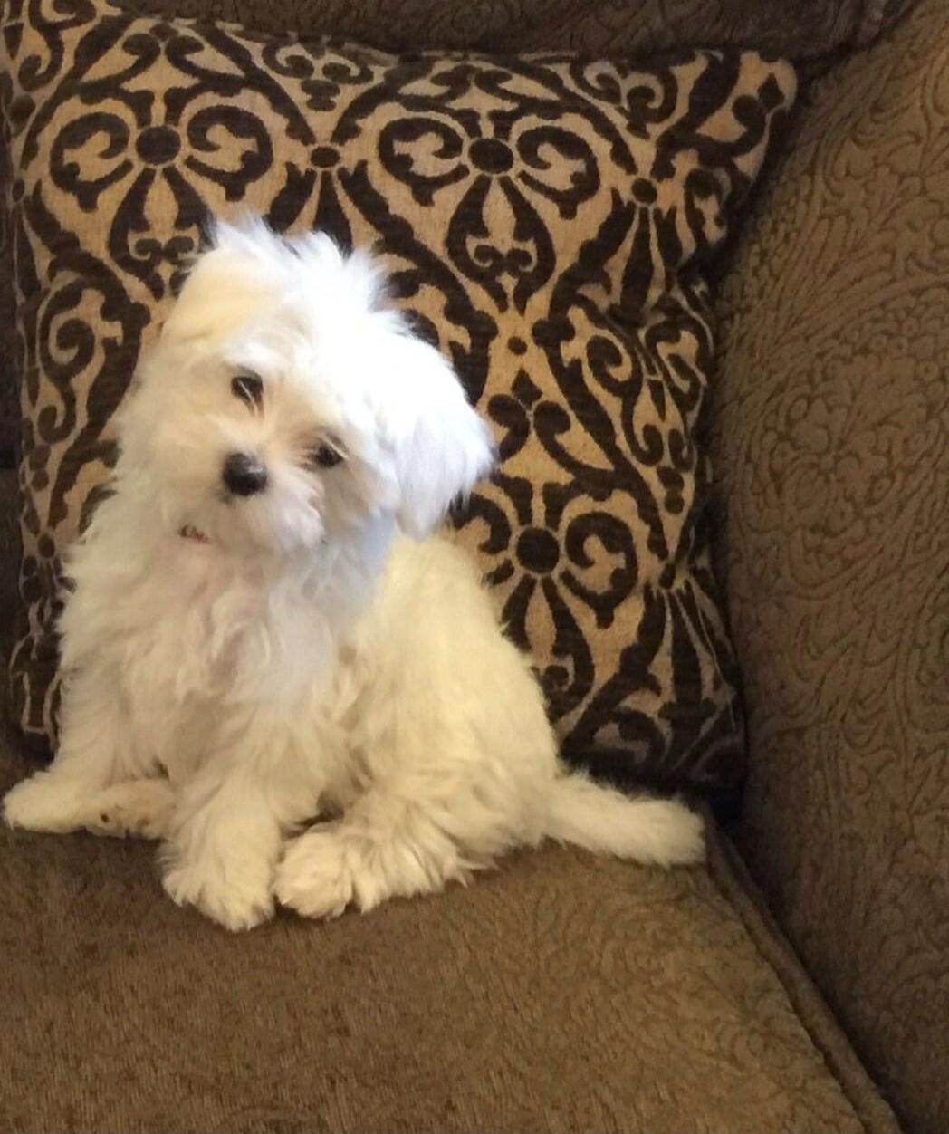 Session ID: 1020318.