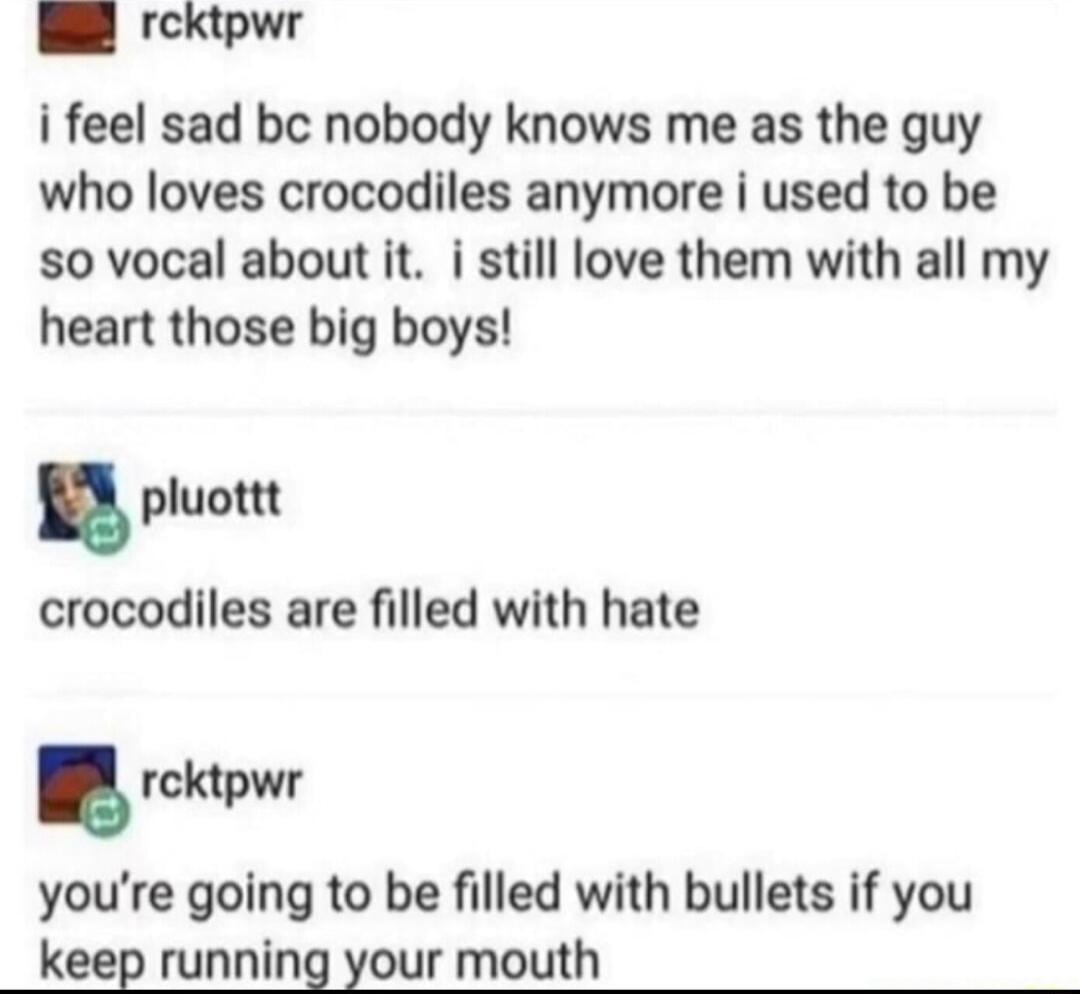 B rcktpwr i feel sad bc nobody knows me as the guy who loves crocodiles anymore i used to be so vocal about it i still love them with all my heart those big boys pluottt crocodiles are filled with hate rektpwr youre going to be filled with bullets if you keep running your mouth