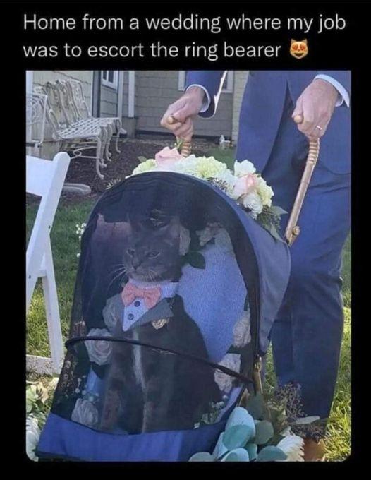 Home from a wedding where my job was to escort the ring bearer