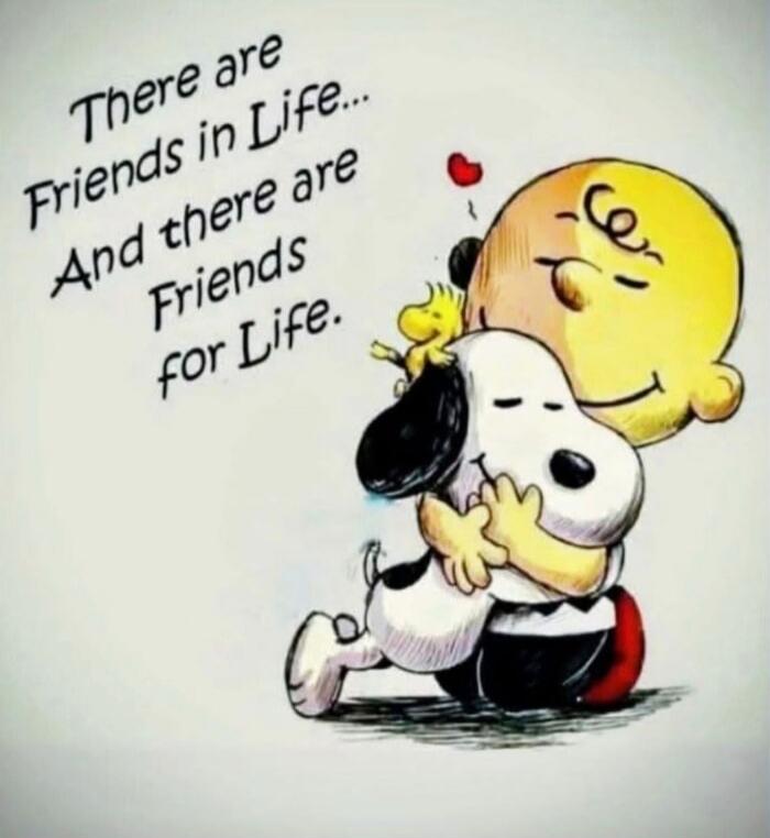 There are Friends in Life... And there are Friends for Life.