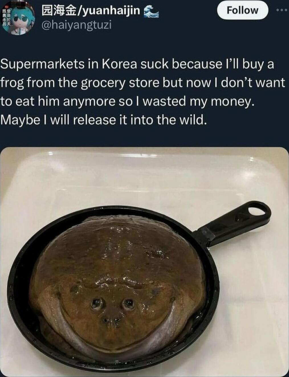 yuanhanyln P w D Supermarkets in Korea suck because Ill buy a frog from the grocery store but now dont want to eat him anymore so wasted my money Maybe will release it into the wild