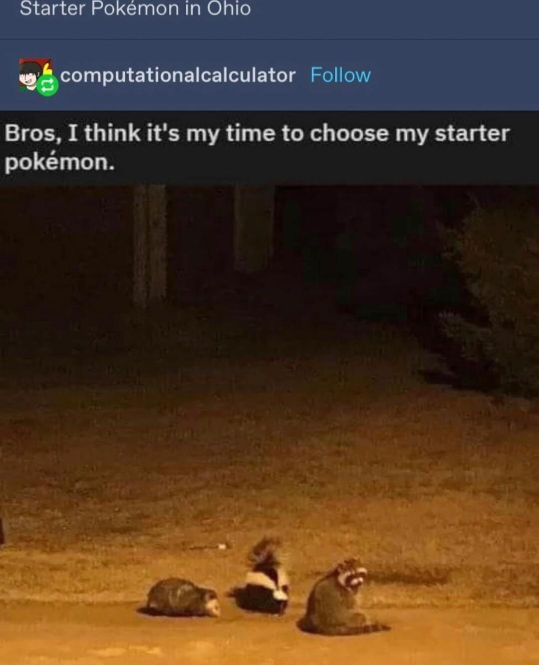 Bros I think its my time to choose my starter pokmon