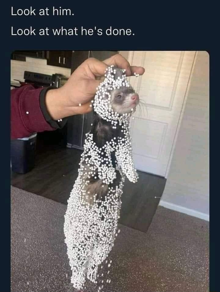 That Seventies Bltch KittyOffRecord Look at him Look at what hes done