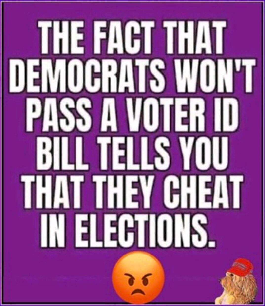 THE FACT THAT DEMOCRATS WON'T PASS A VOTER ID BILL TELLS YOU THAT THEY CHEAT IN ELECTIONS.