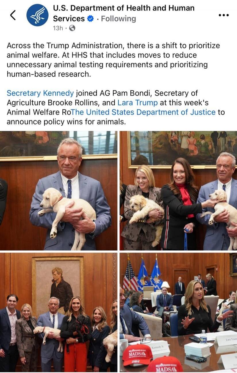 Across the Trump Administration, there is a shift to prioritize animal welfare. At HHS that includes moves to reduce unnecessary animal testing requirements and prioritizing human-based research.

Secretary Kennedy joined AG Pam Bondi, Secretary of Agriculture Brooke Rollins, and Lara Trump at this week's Animal Welfare Reform to The United States 