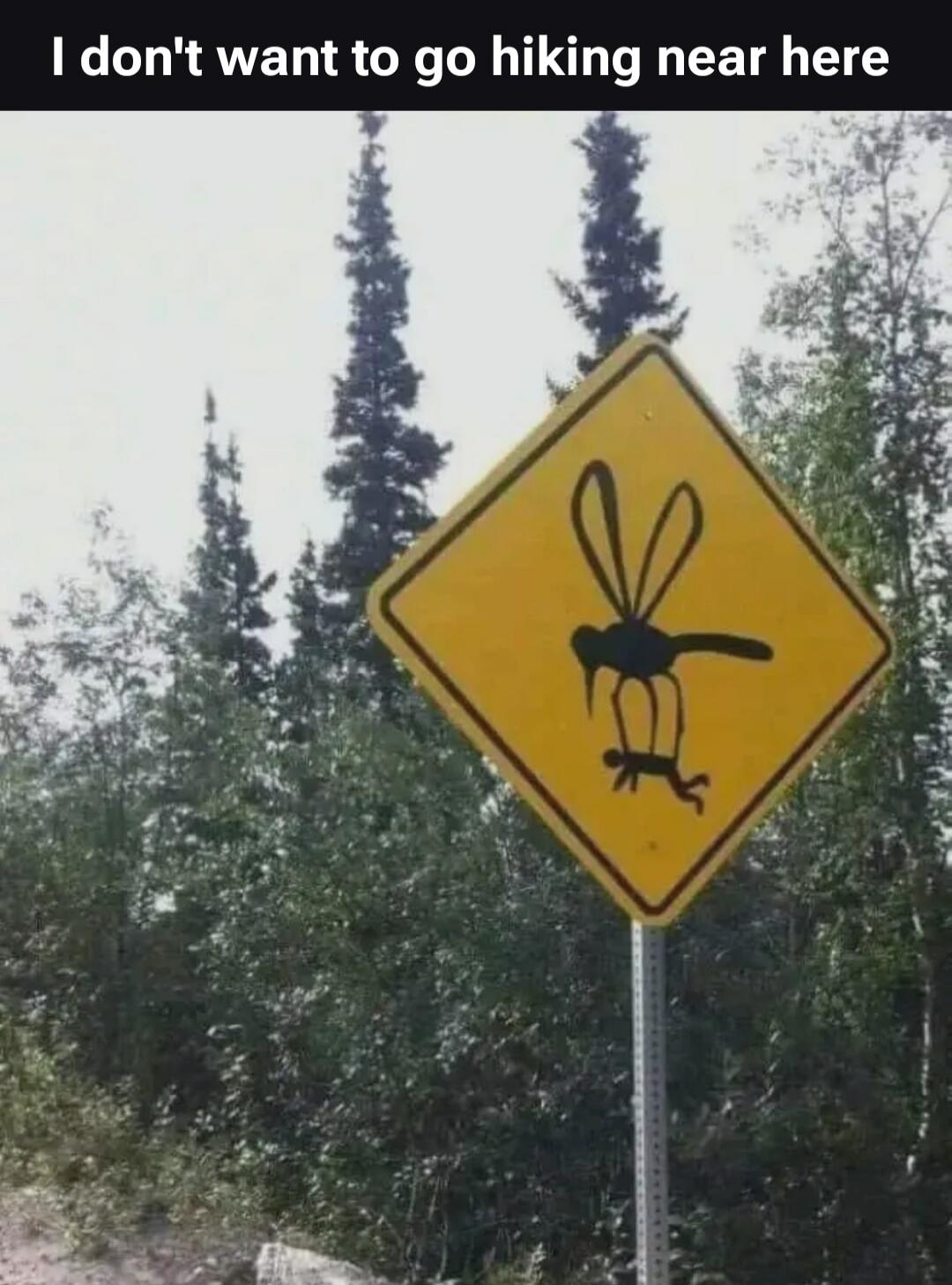 I don't want to go hiking near here