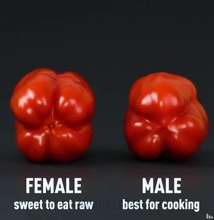 FEMALE MALE sweet to eat raw best for cooking